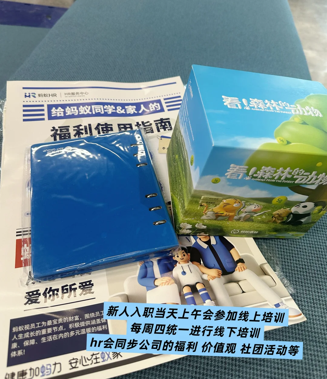 蚂蚁国际｜阿里面试-offer-入职✅