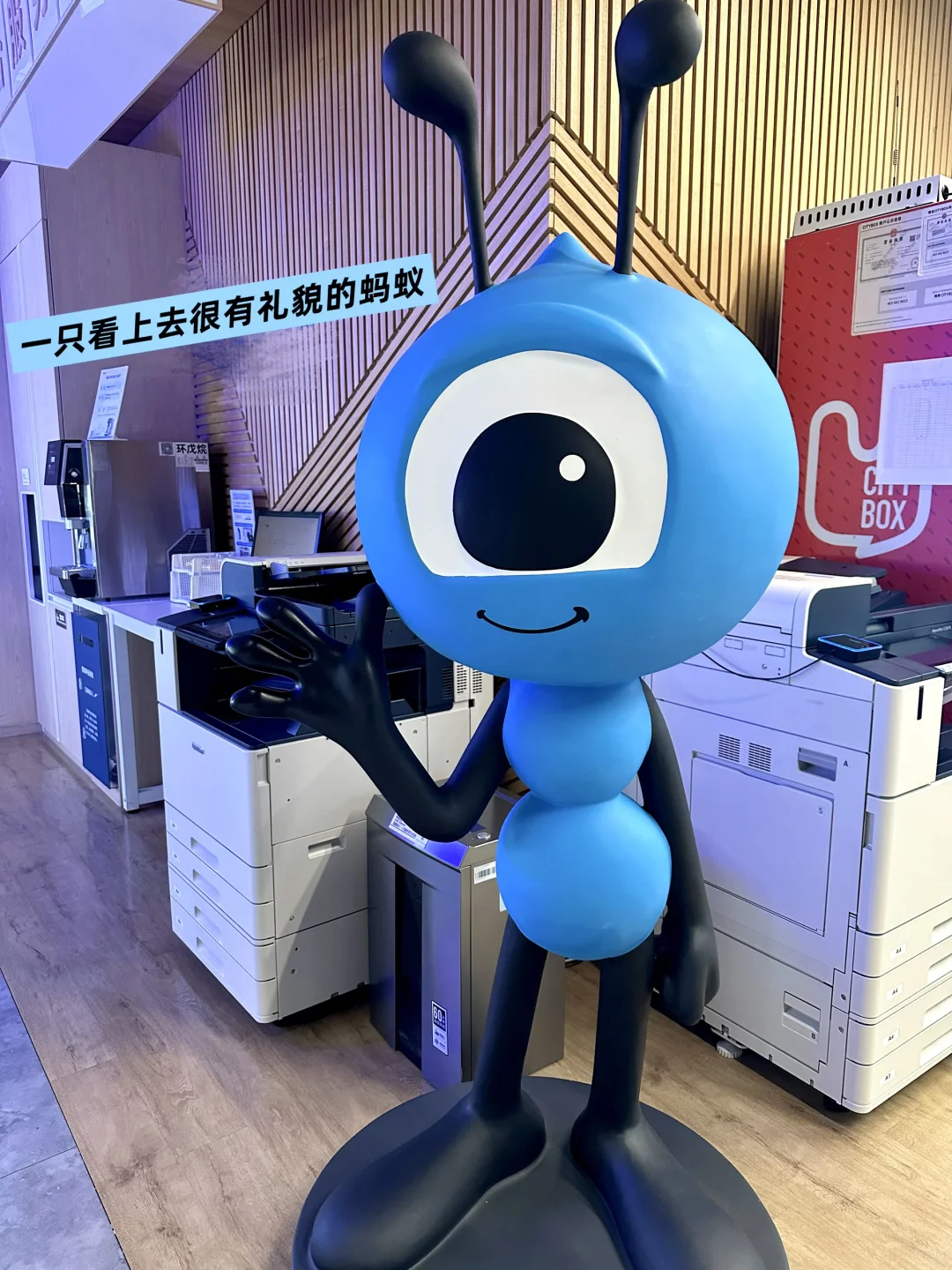 蚂蚁国际｜阿里面试-offer-入职✅