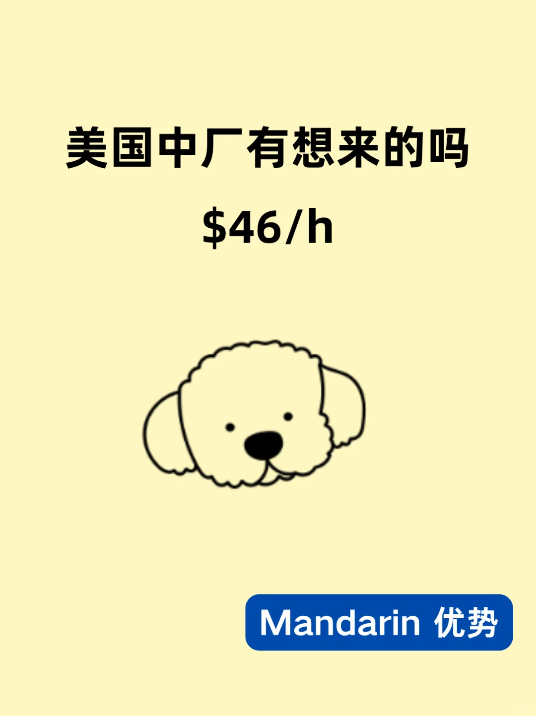 🇺🇸有想来中厂的吗？no expert