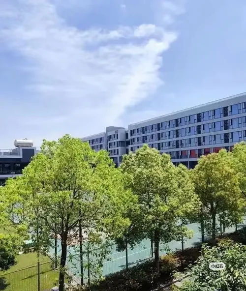 手机壳打包、手机壳打包