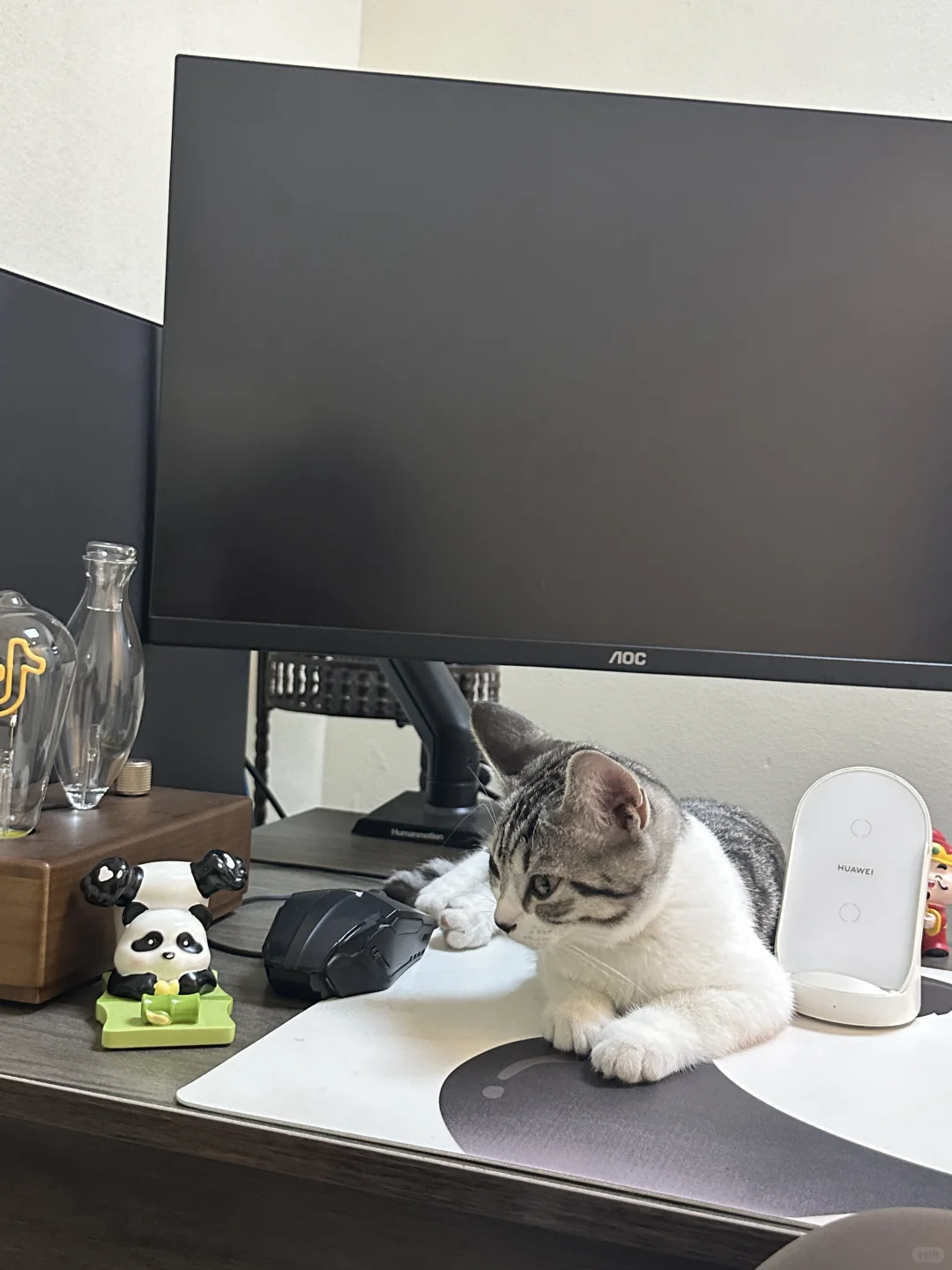 沈北急招人事！速来！