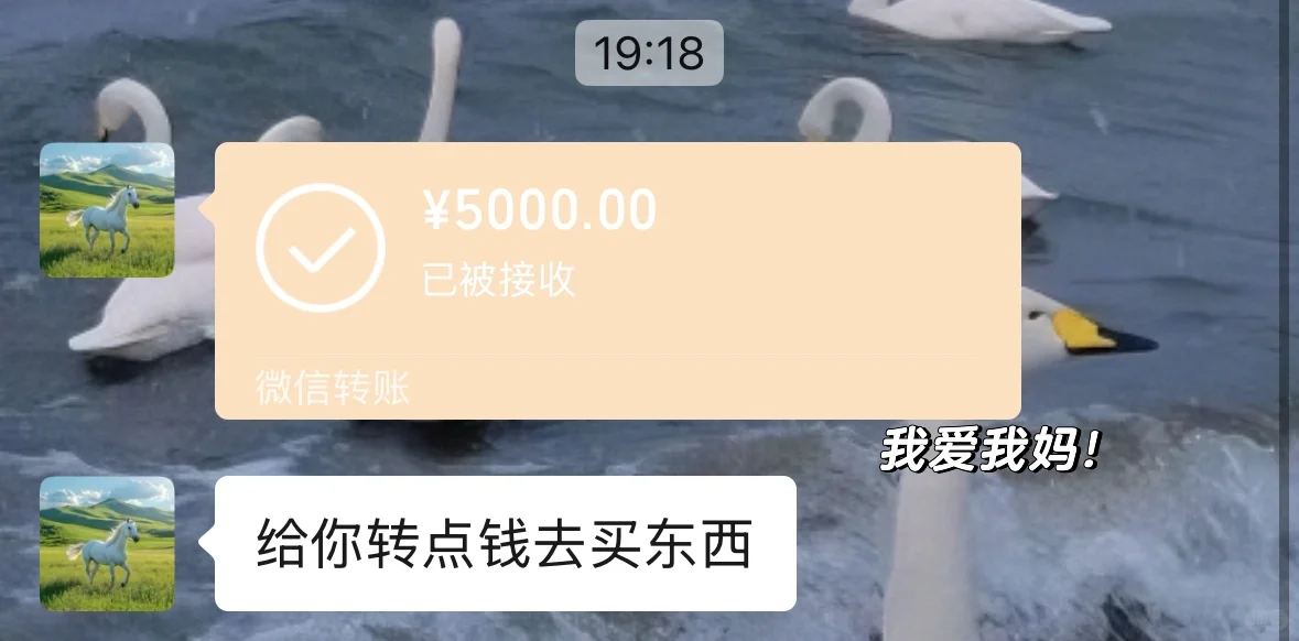 应届生！硕士！三个月！裸辞！