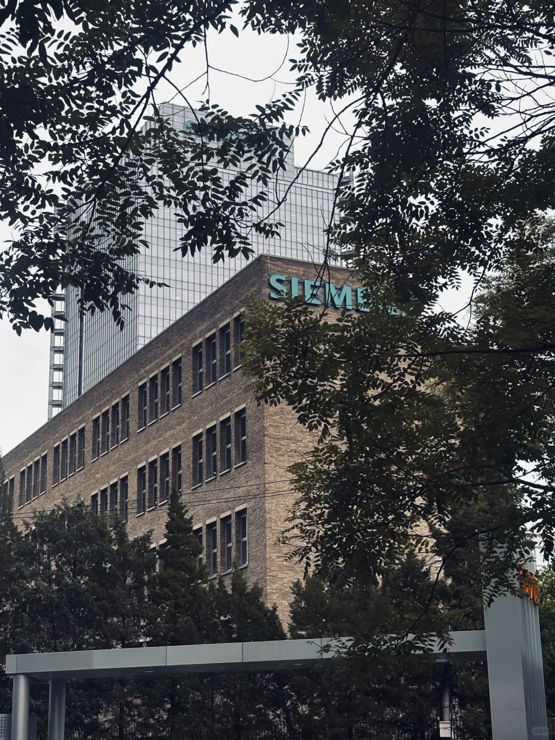 北京西门子招继任❤️‍🔥财务实习生