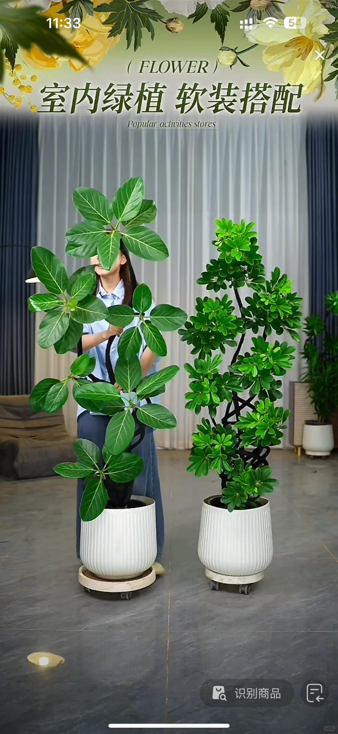 荔湾区菊树招聘主播