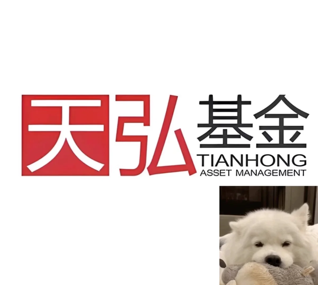 天弘基金/社招