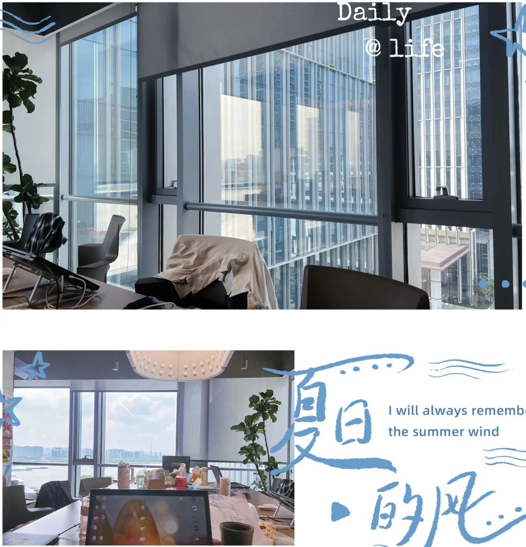 麦当劳总部实习急招继任！