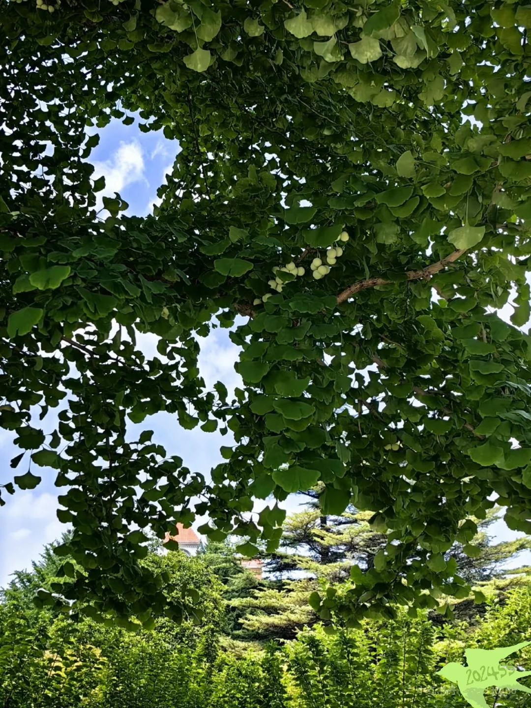北体，招聘（后勤岗，行政岗）