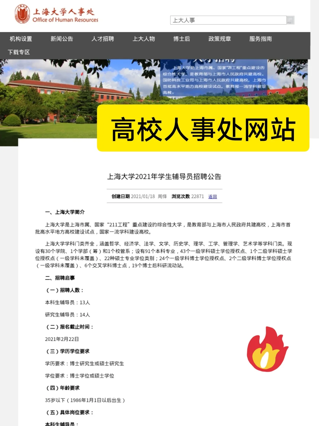 分享|大学辅导员招聘信息❗️