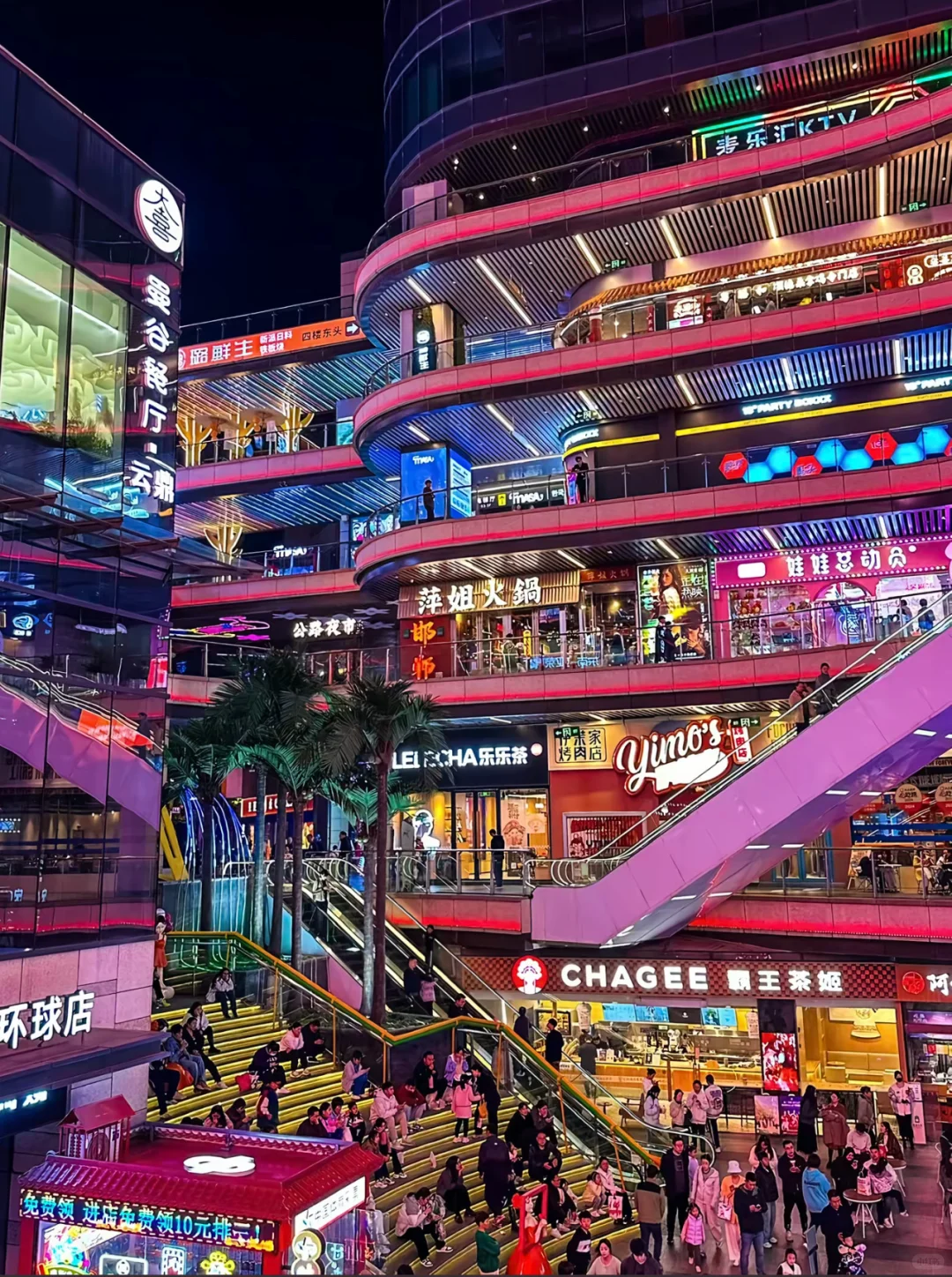 美丽的它