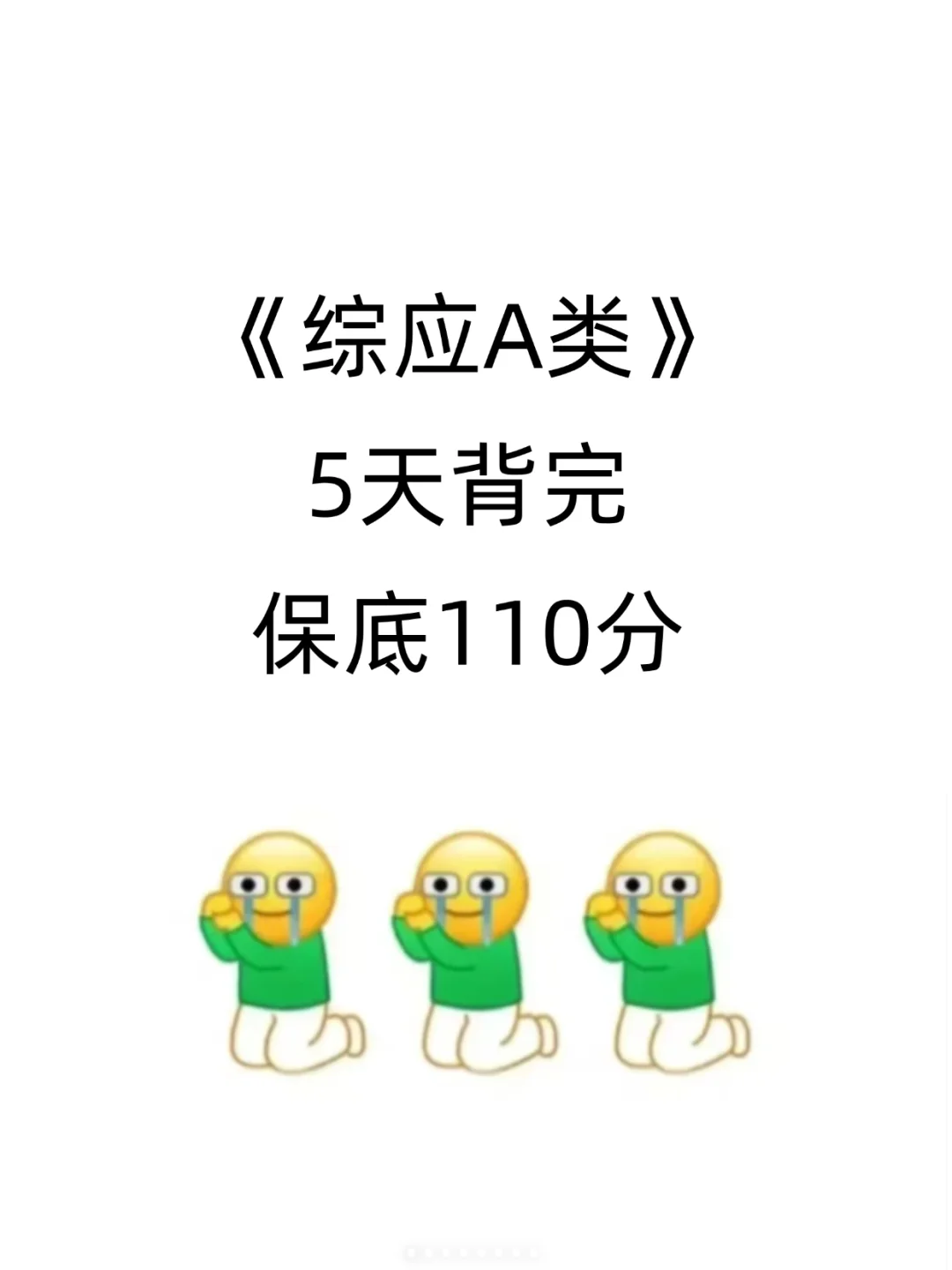 综应A类，有点恶心，但5天背完保底110分