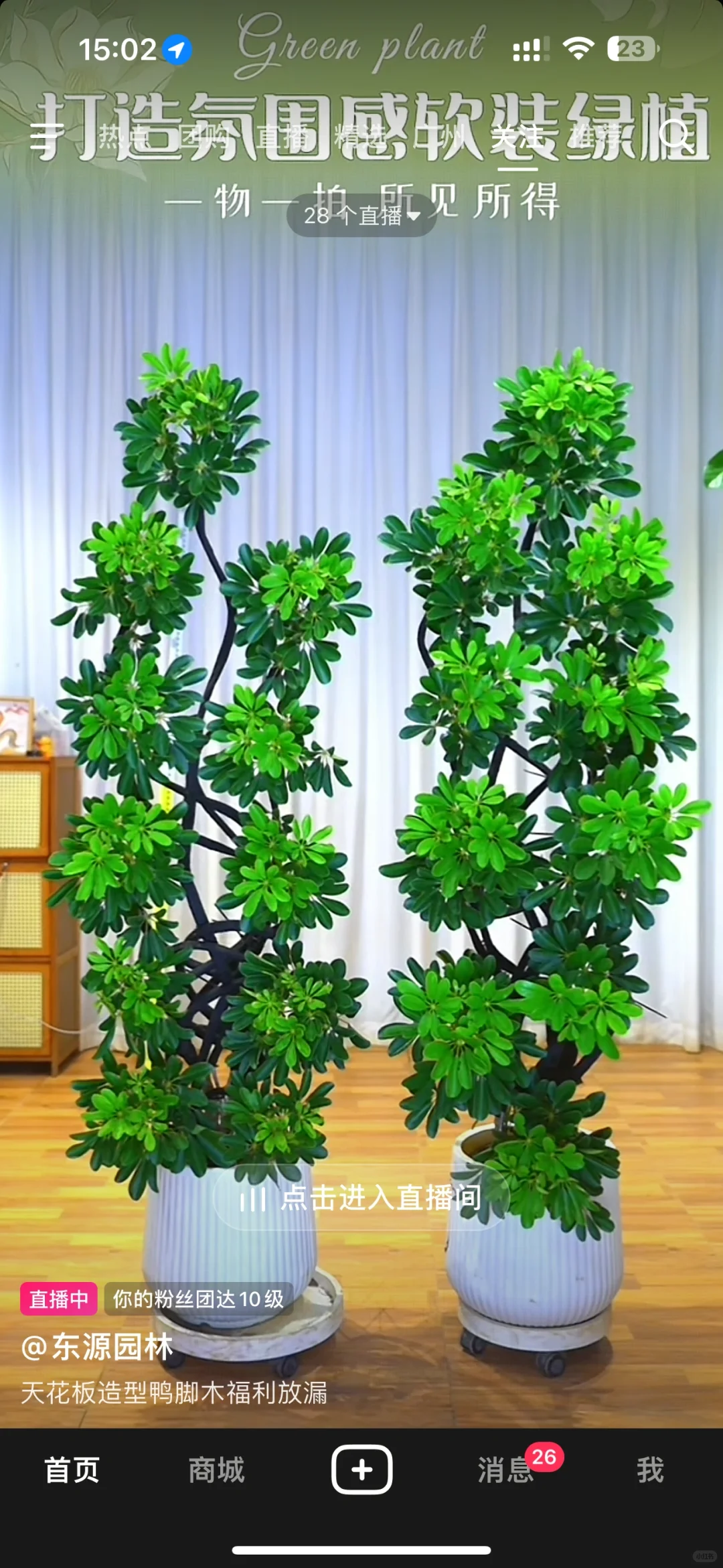 荔湾区菊树招聘招聘主播