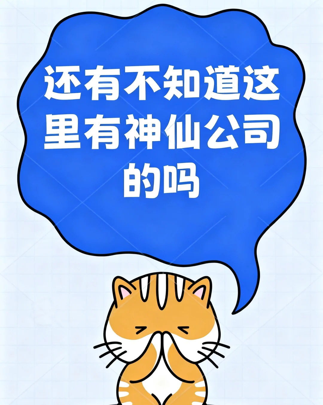 还有不知道这里有神仙公司的吗💫