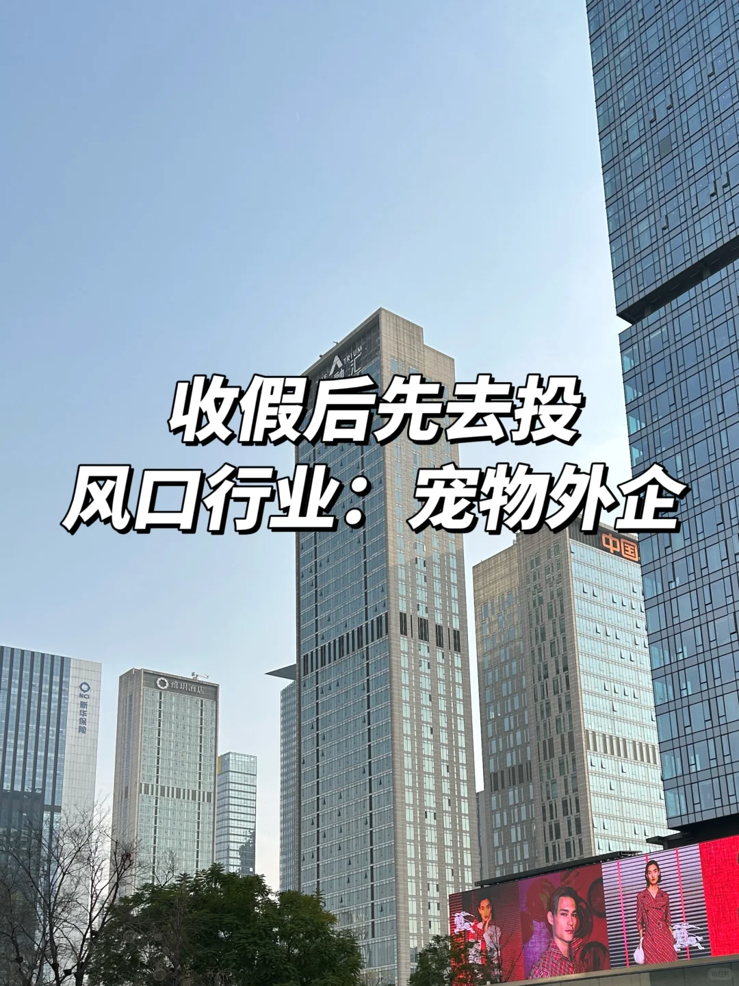 收假后先去投风口行业：宠物外企