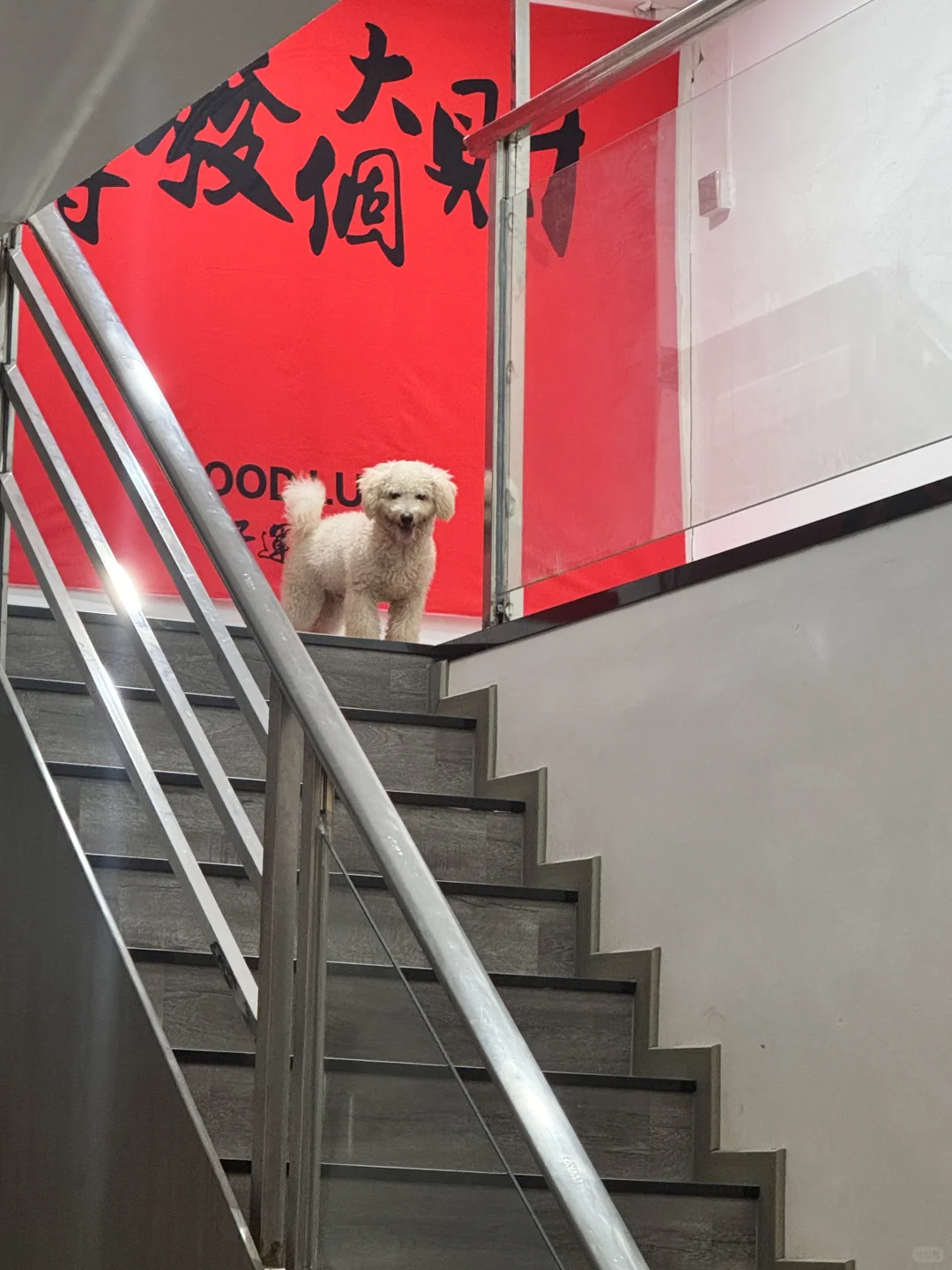 📍海丰莲花｜大量招聘女主播