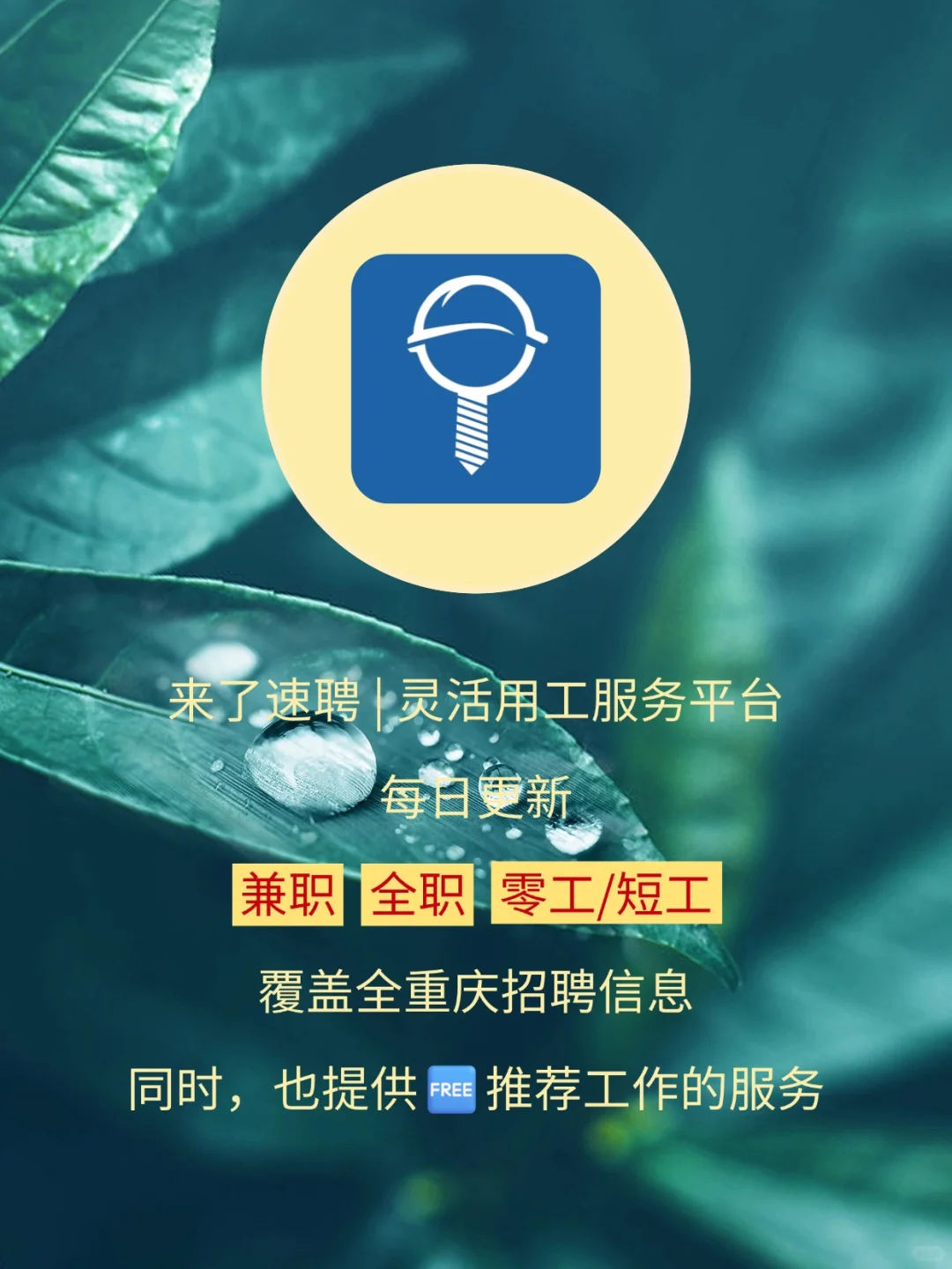 今日寒露 | 来了速聘提醒大家记得加衣哦~