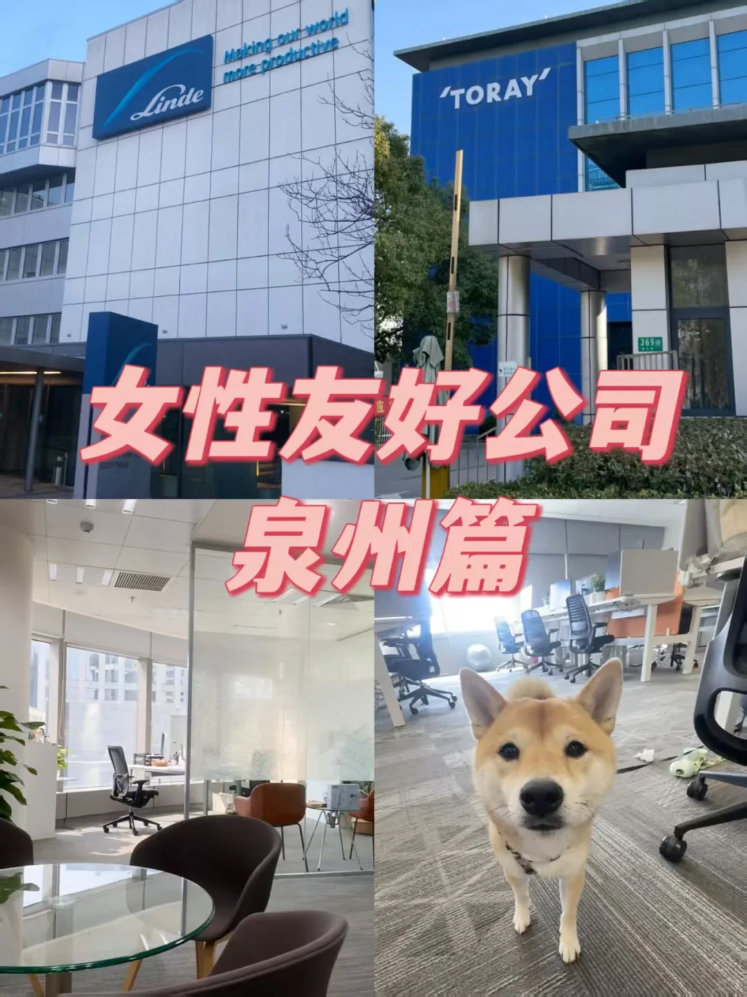 女性友好公司 泉州篇