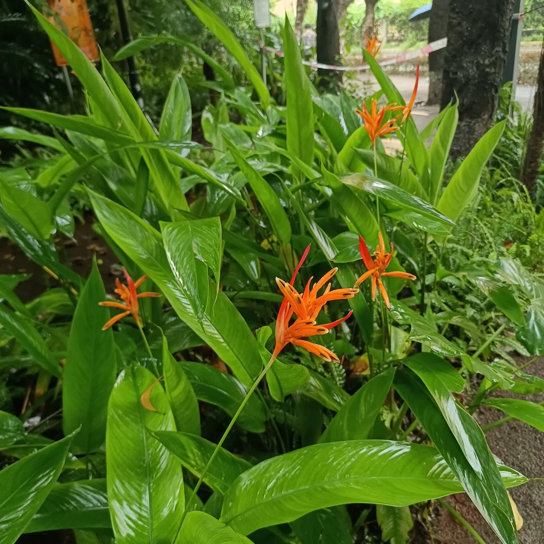 校招进行时