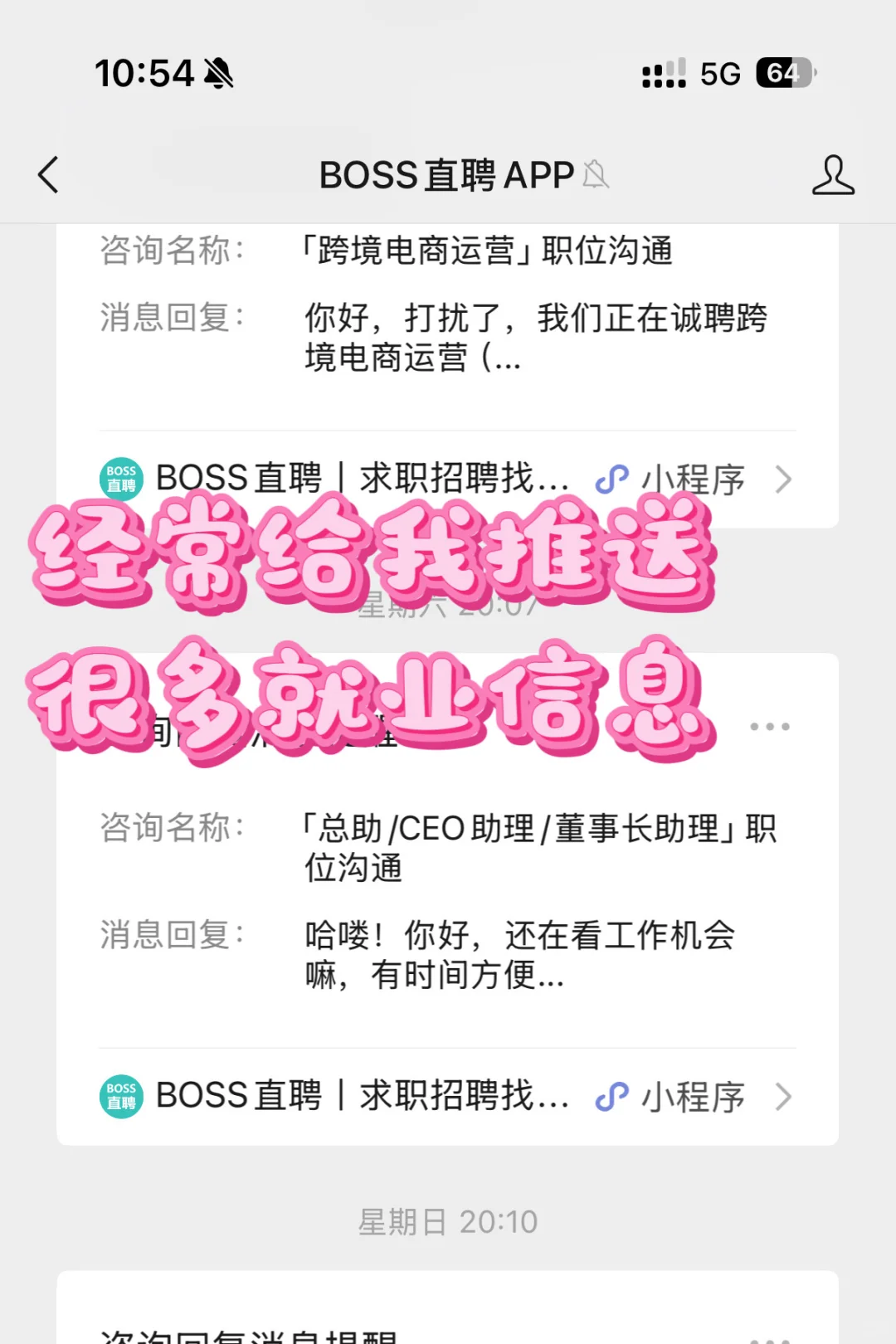 马理论研究生就业分享