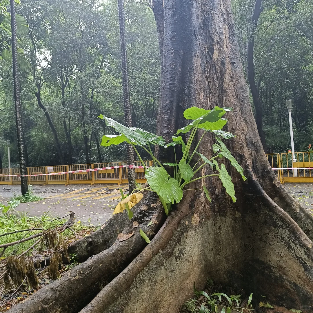 校招进行时