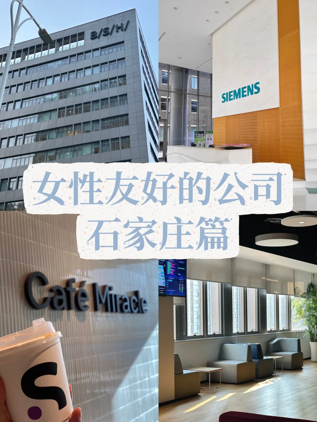 石家庄女性友好公司—WLB—福利丰厚