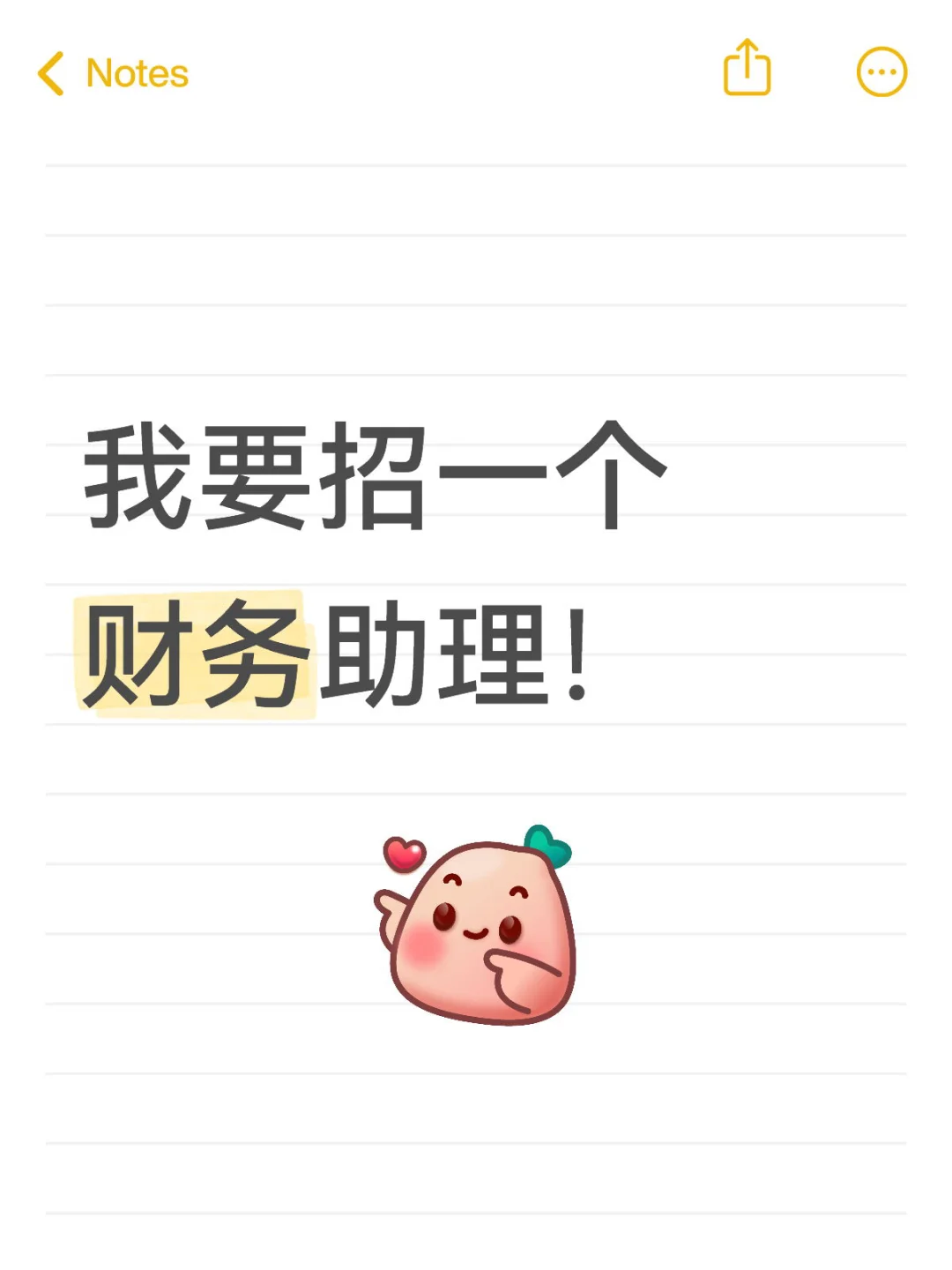 我要招一个财务助理！有要做的么？