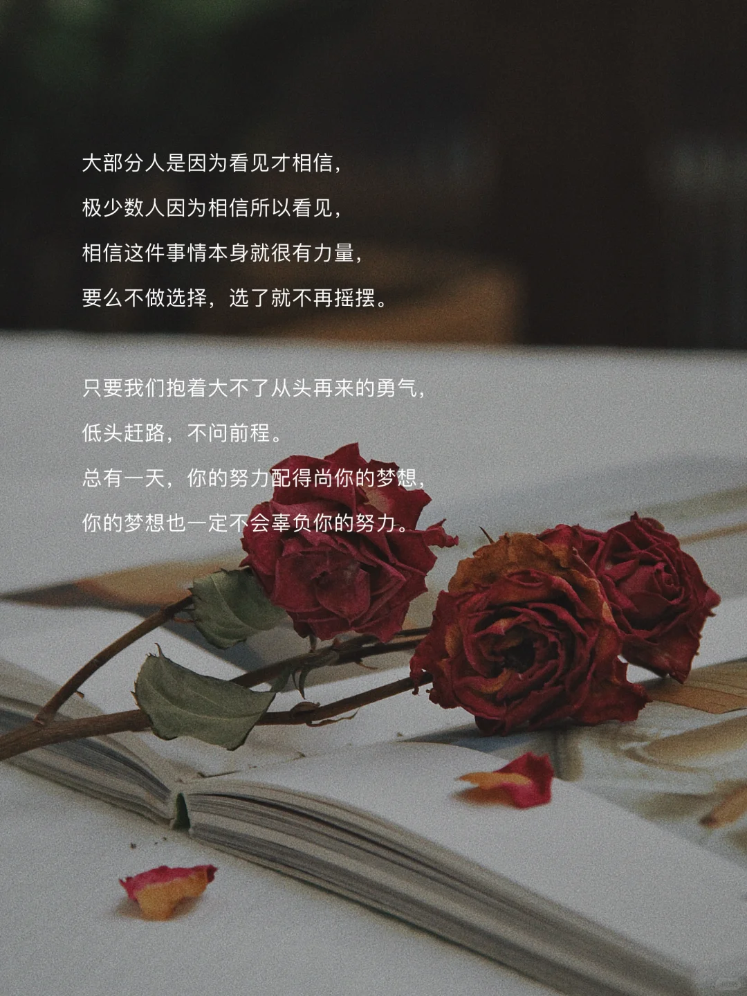 最坏，不过是从头再来