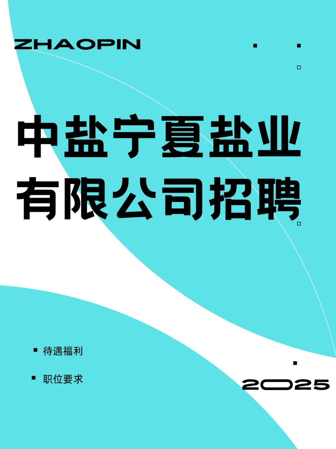 中盐宁夏盐业有限公司招聘