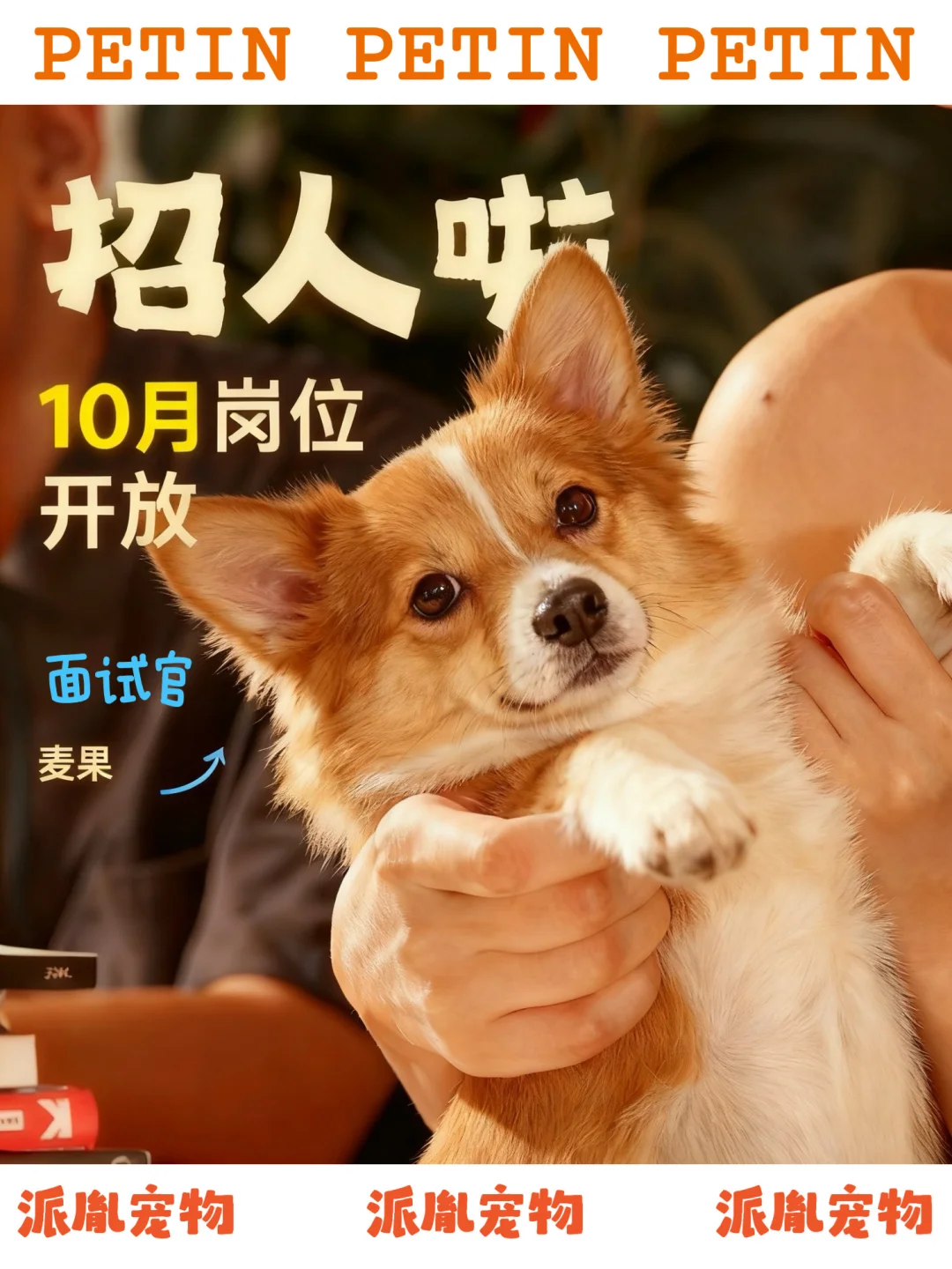 招聘｜PETIN派胤10月新岗位开放
