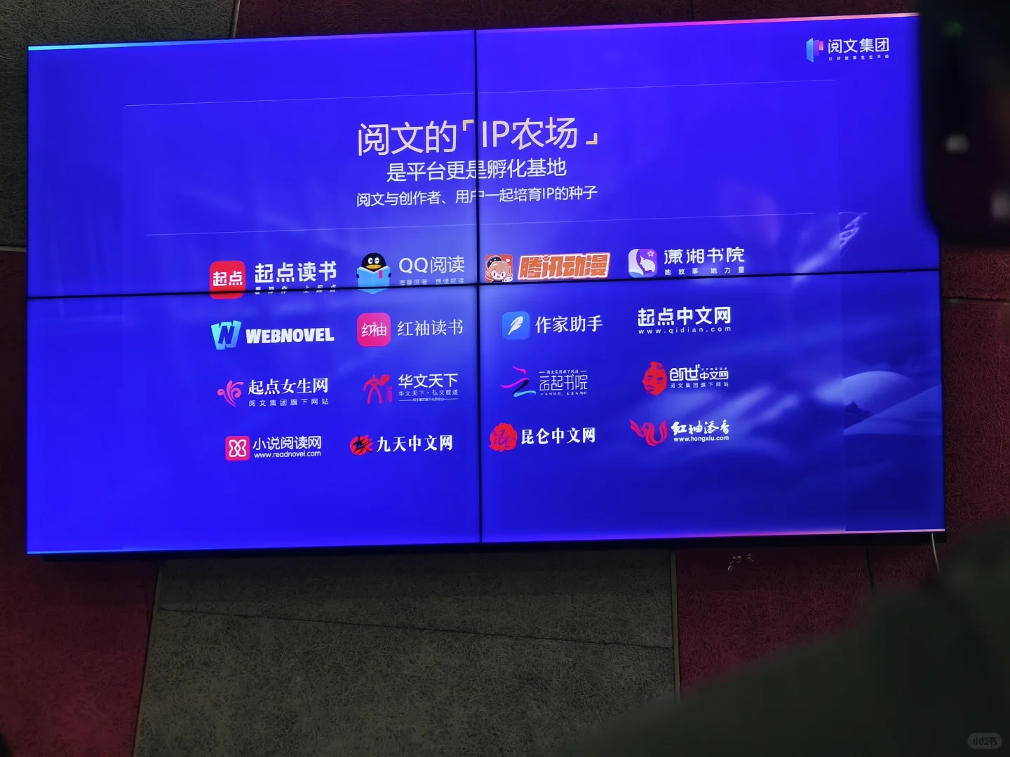 阅文招聘