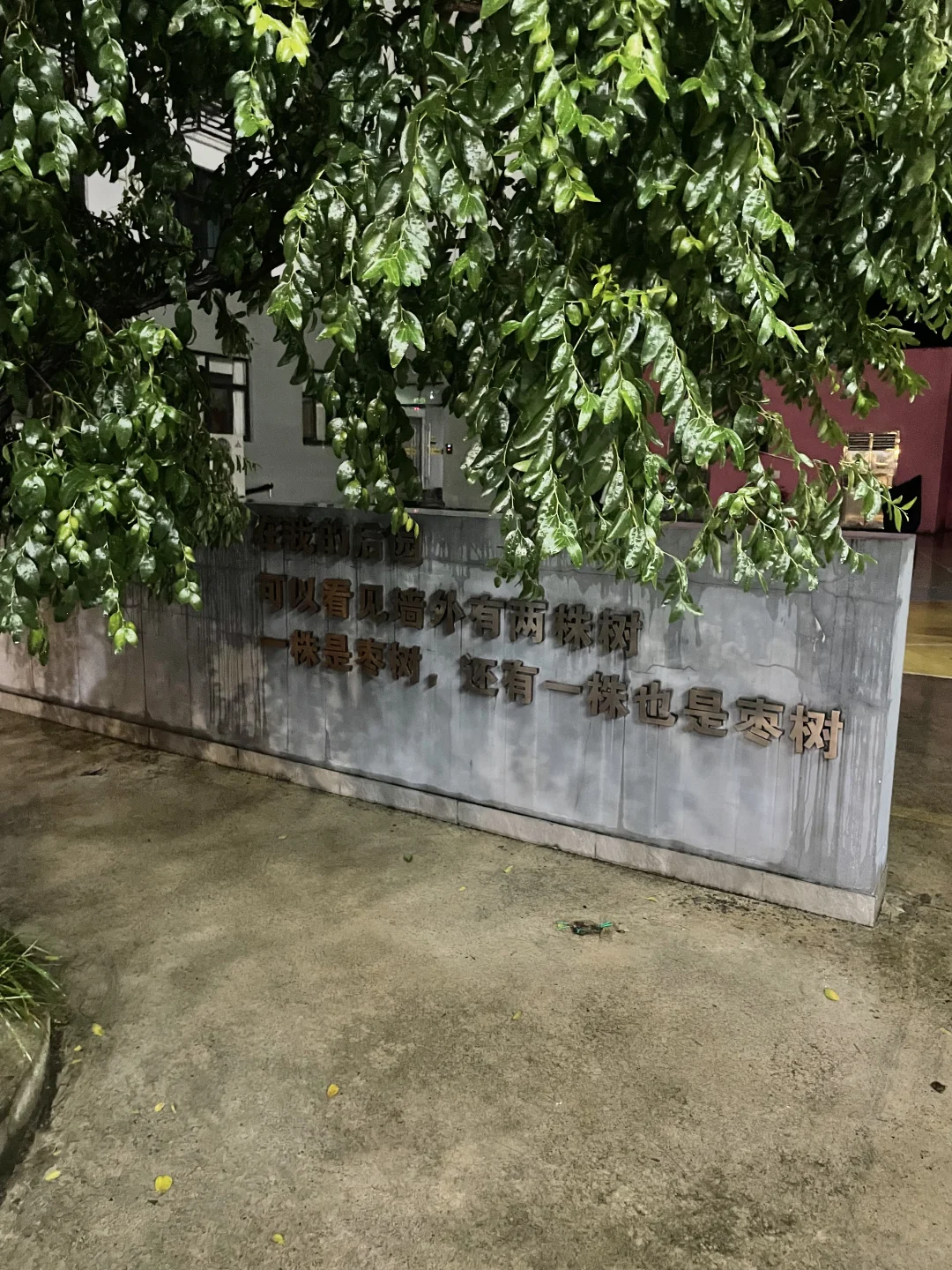绍兴免费住宿攻略测评来啦🏠