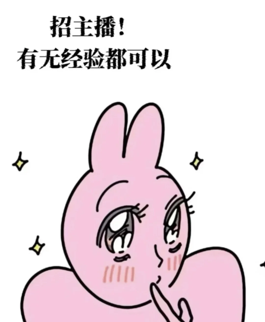 招聘对象：团播主播