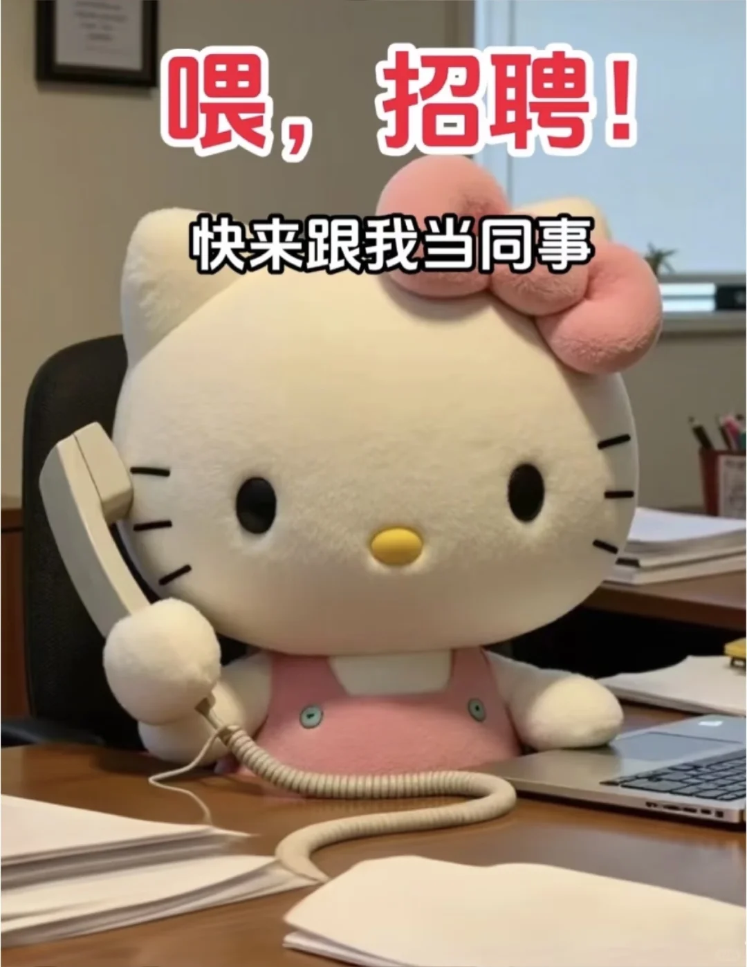 招聘直播助理（女装）