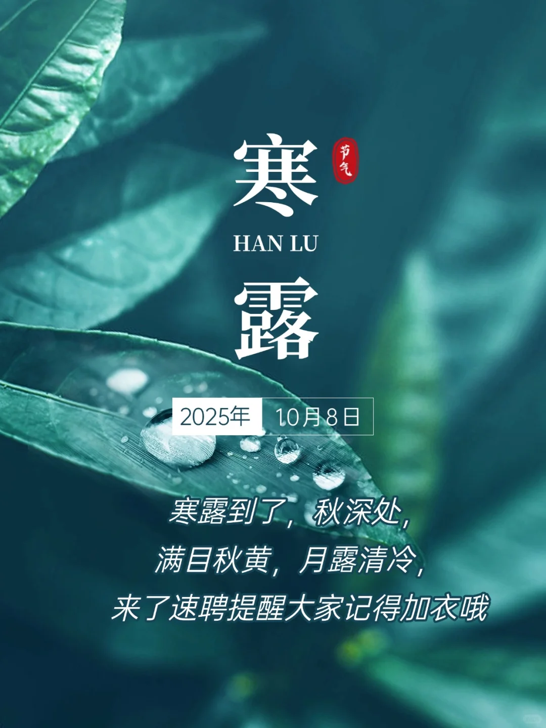 今日寒露 | 来了速聘提醒大家记得加衣哦~