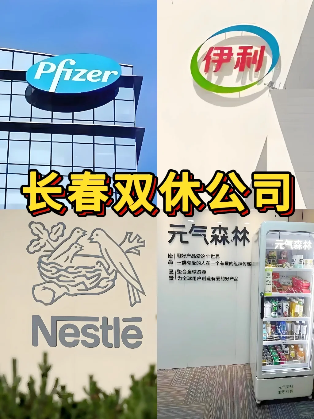 长春双休神仙公司合集来啦！打工人速码✨