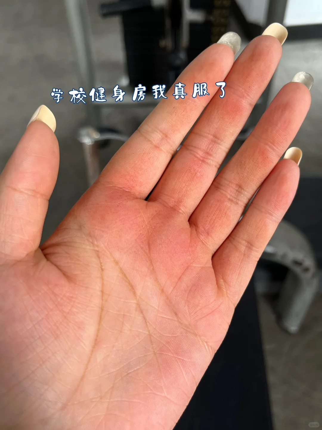 悲催实习生
