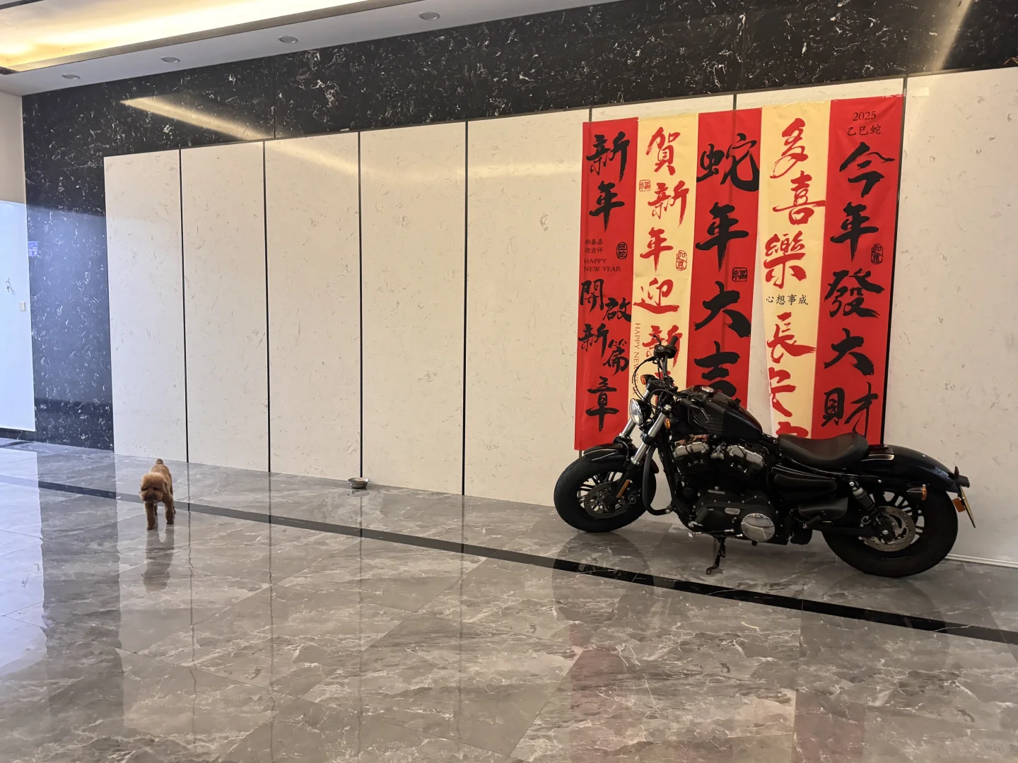 📍海丰莲花｜大量招聘女主播