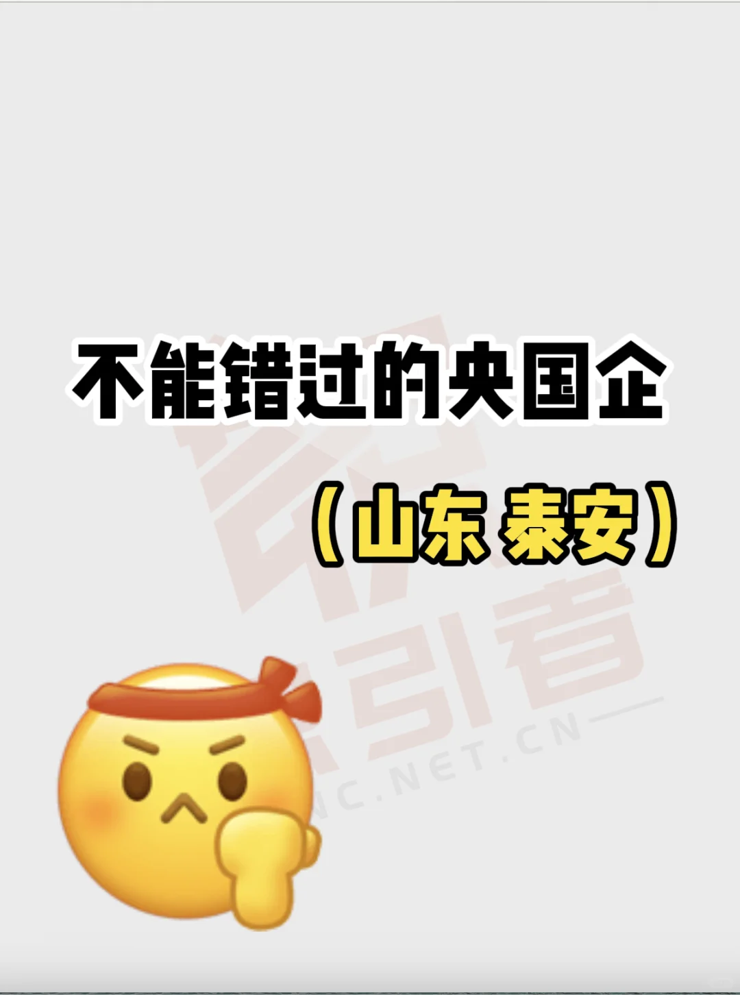 不能错过的央国企——山东泰安篇