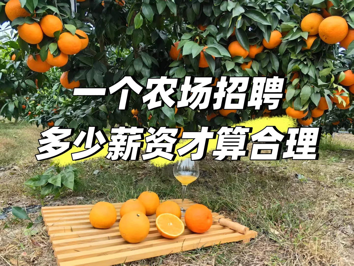 一条新余果园农场招聘的澄清