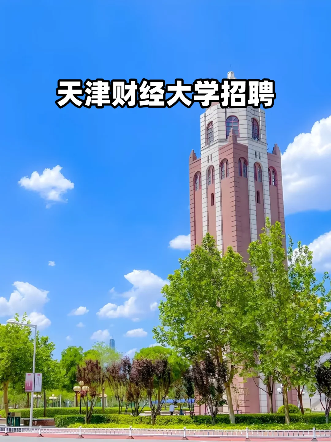 天财大招聘