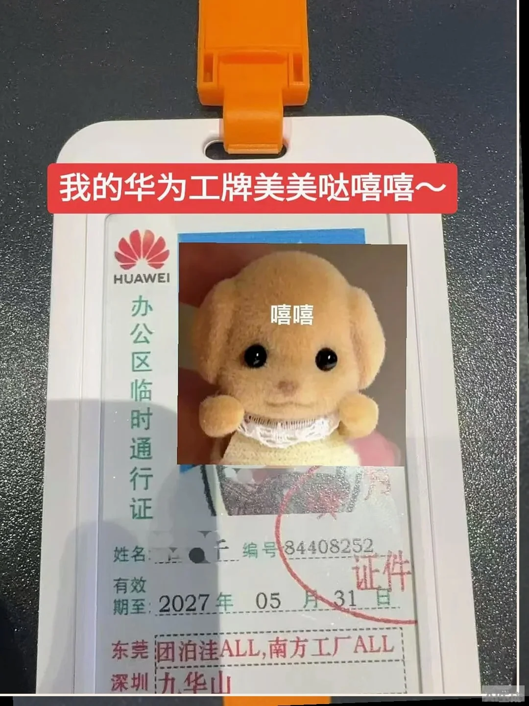 华为招聘男女不限