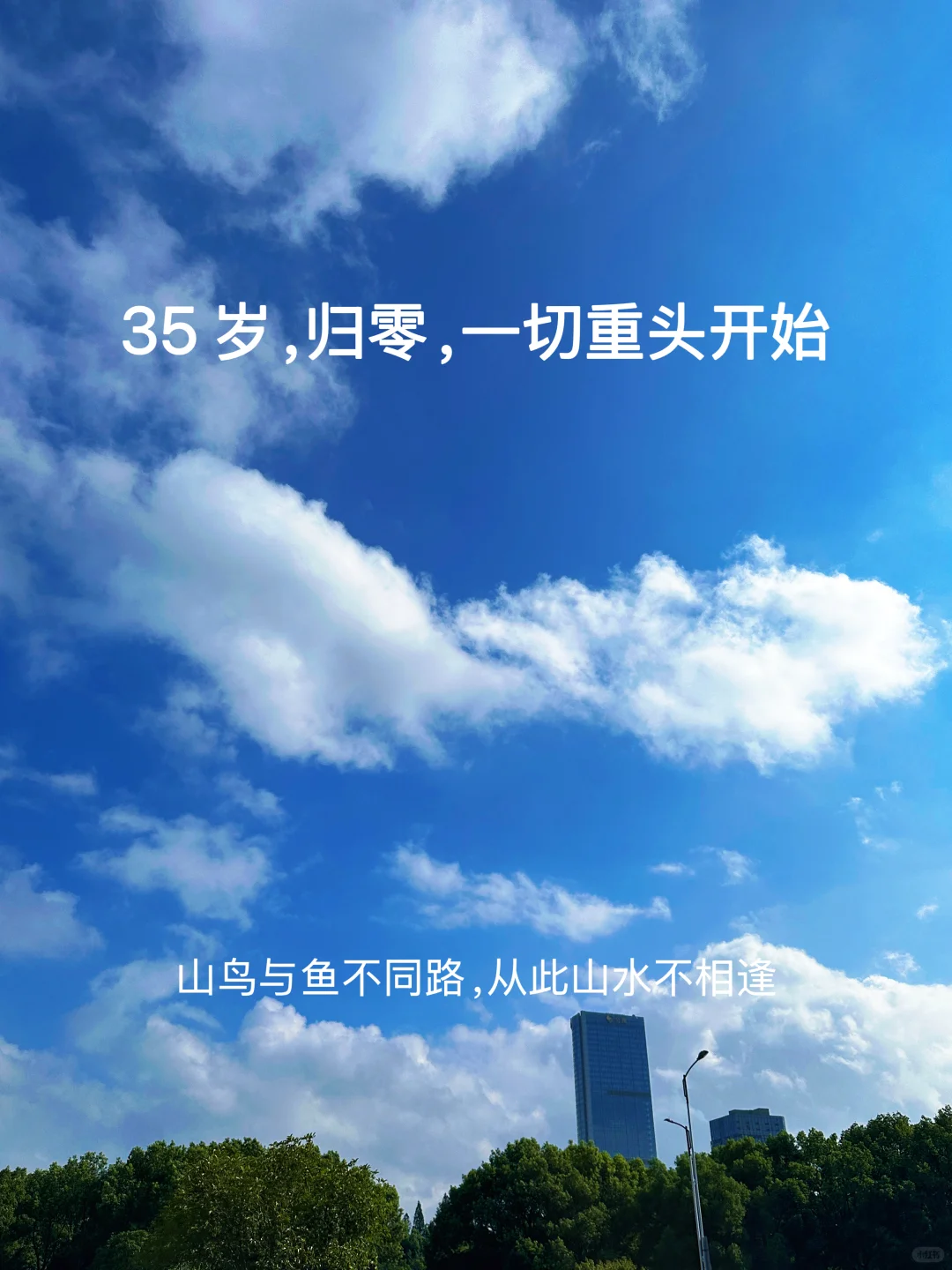 35岁，归零，我终于决定开始新的生活