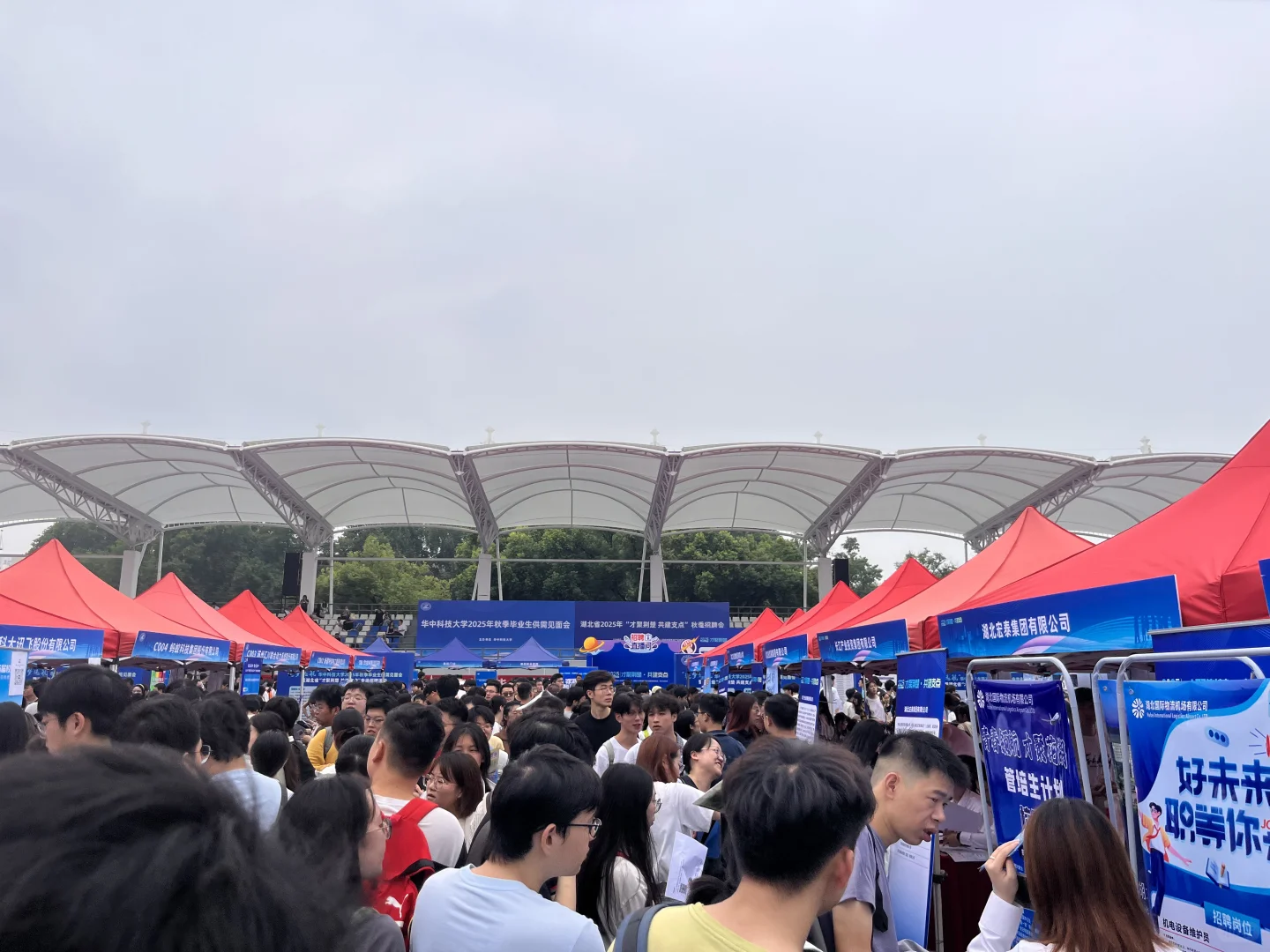 华科双选会，真的要哭了