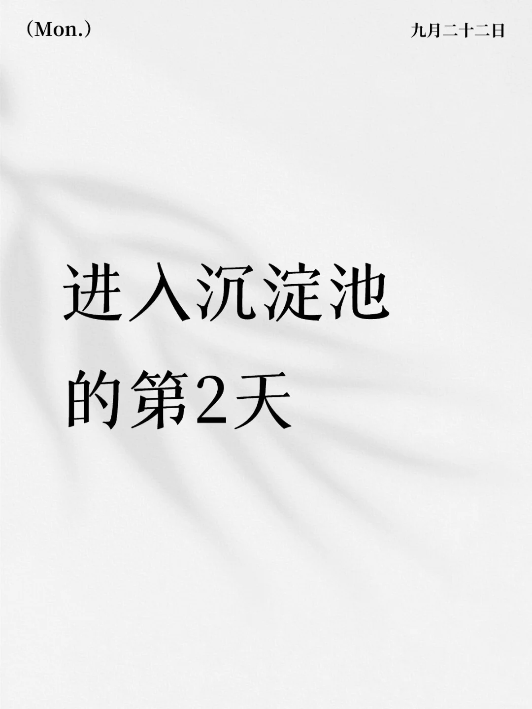 40岁进入沉淀池的第二天