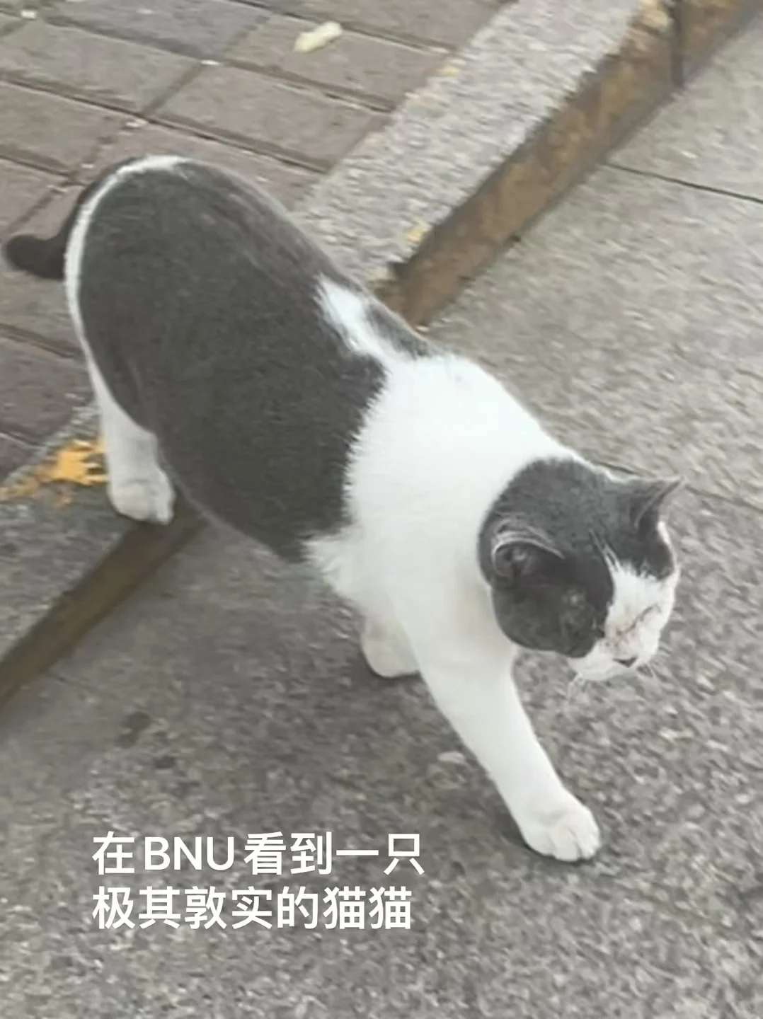 广州优才出发🛫前快速自查清单请收好📝