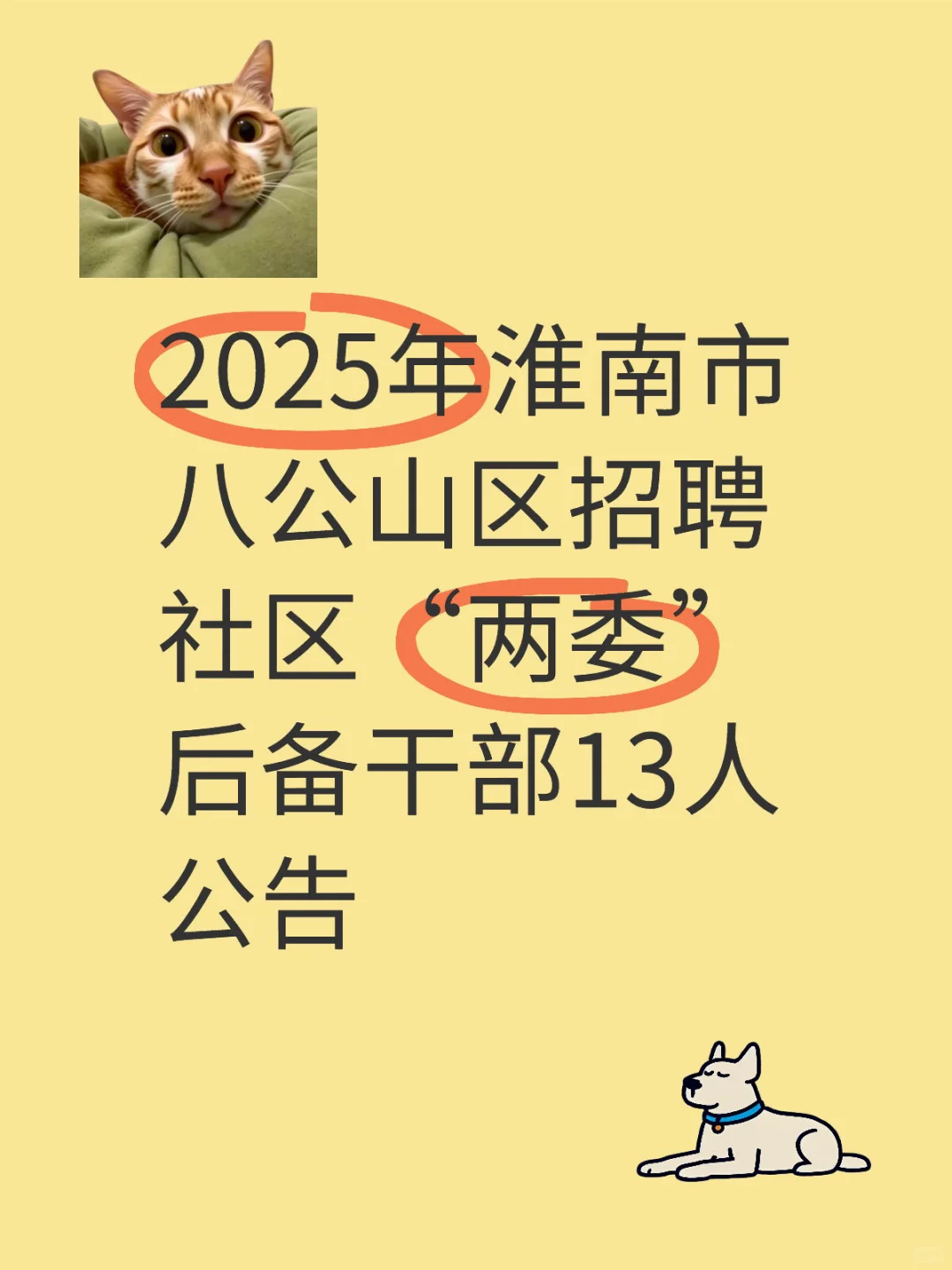 2025年淮南市八公山区招聘社区两委后备干部