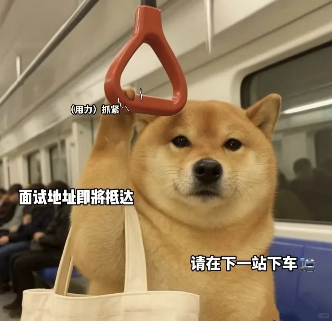 HR表情包