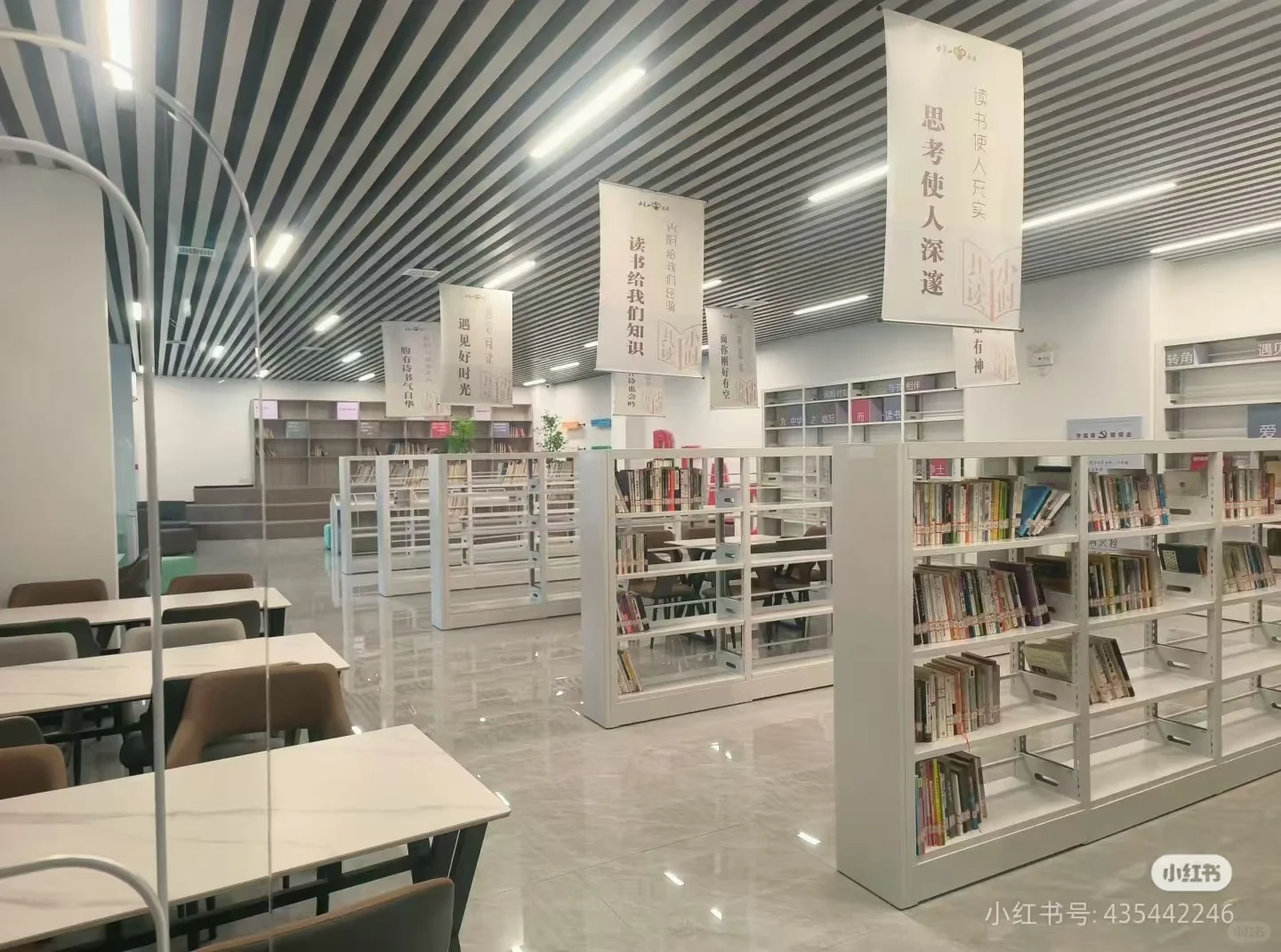 招聘图书管理员一名