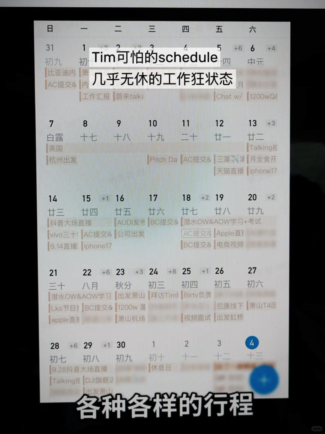 Tim目前最功德无量的贡献是什么？