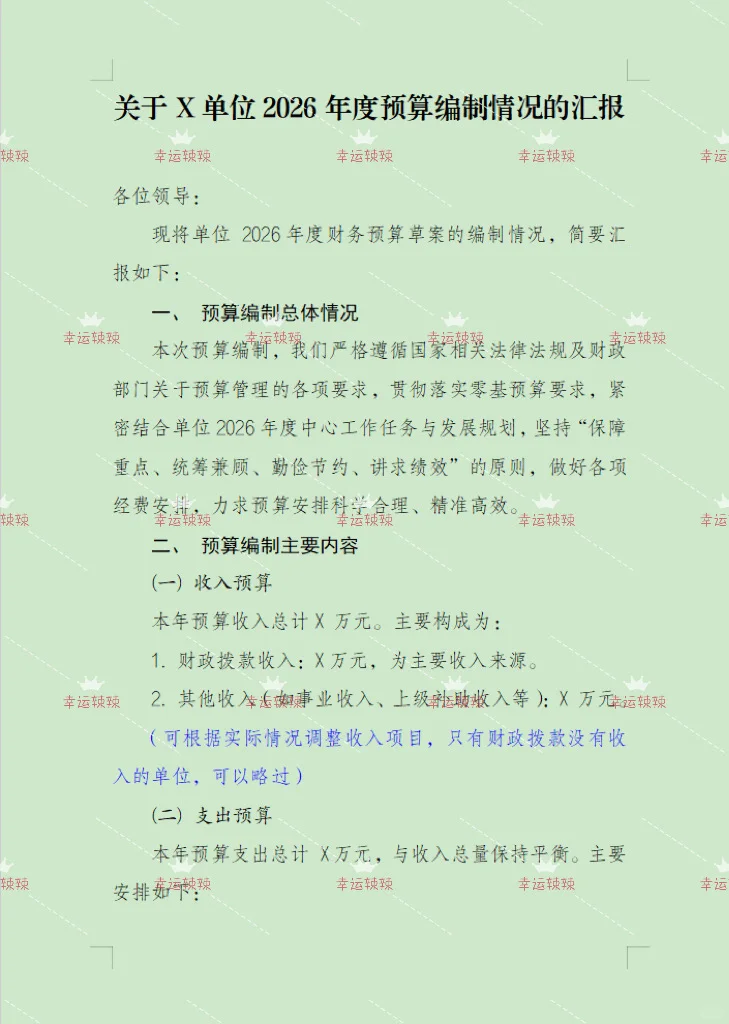预算编制要上领导班子会，汇报材料如何写？
