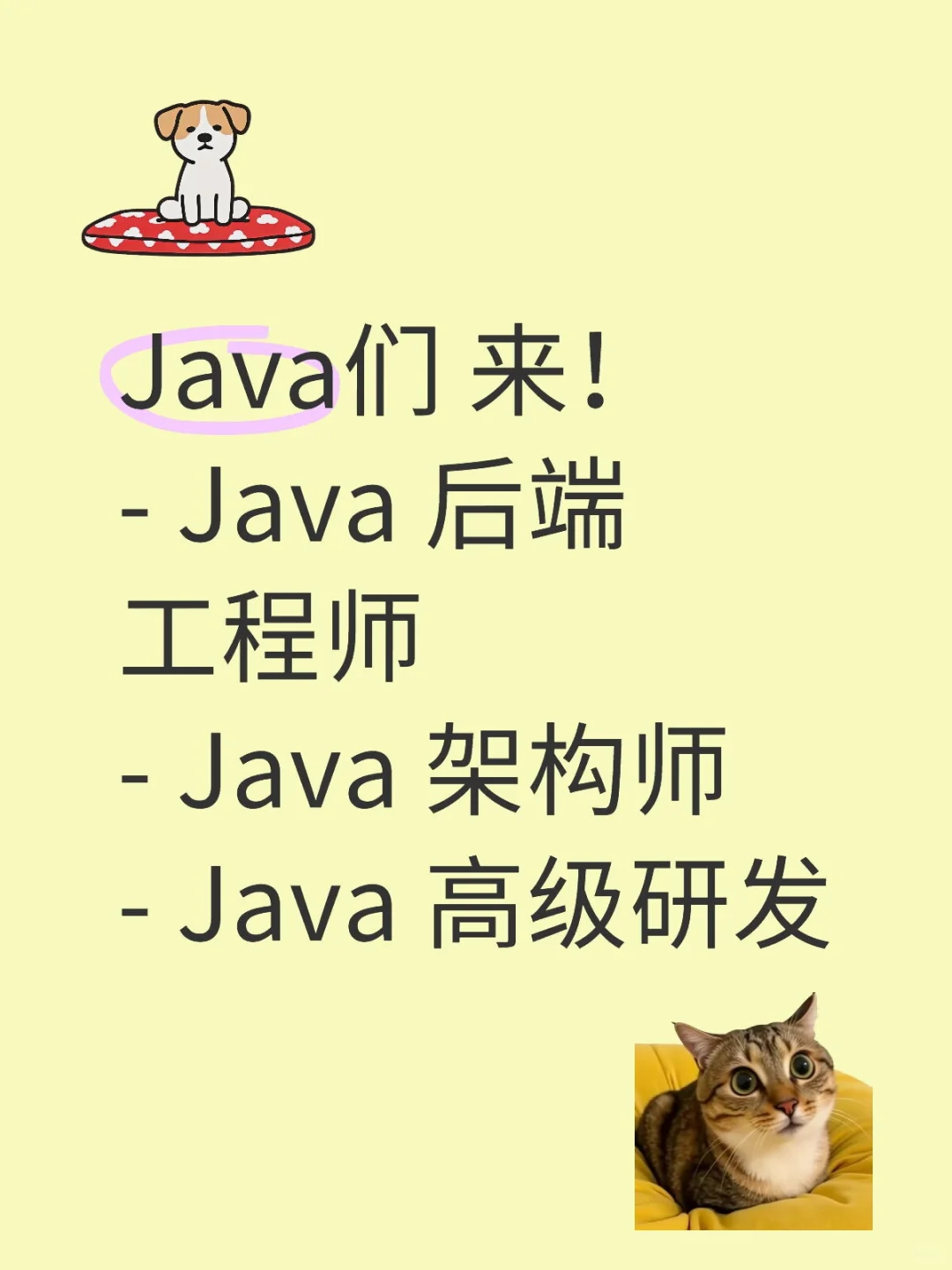 Java们 来！